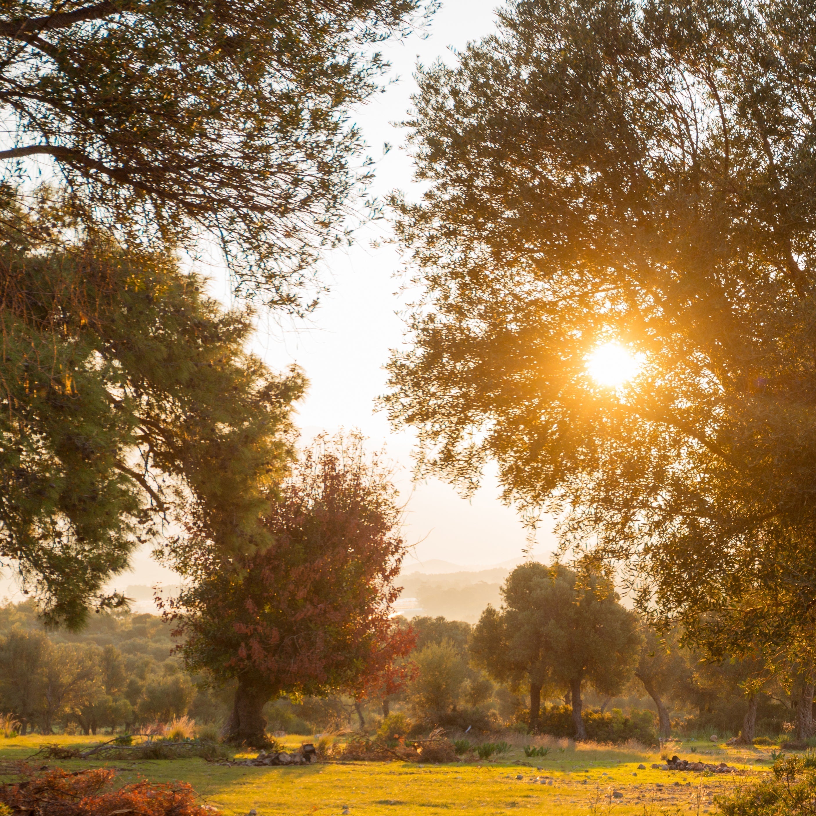 Chapter III - Puglia, ITALY