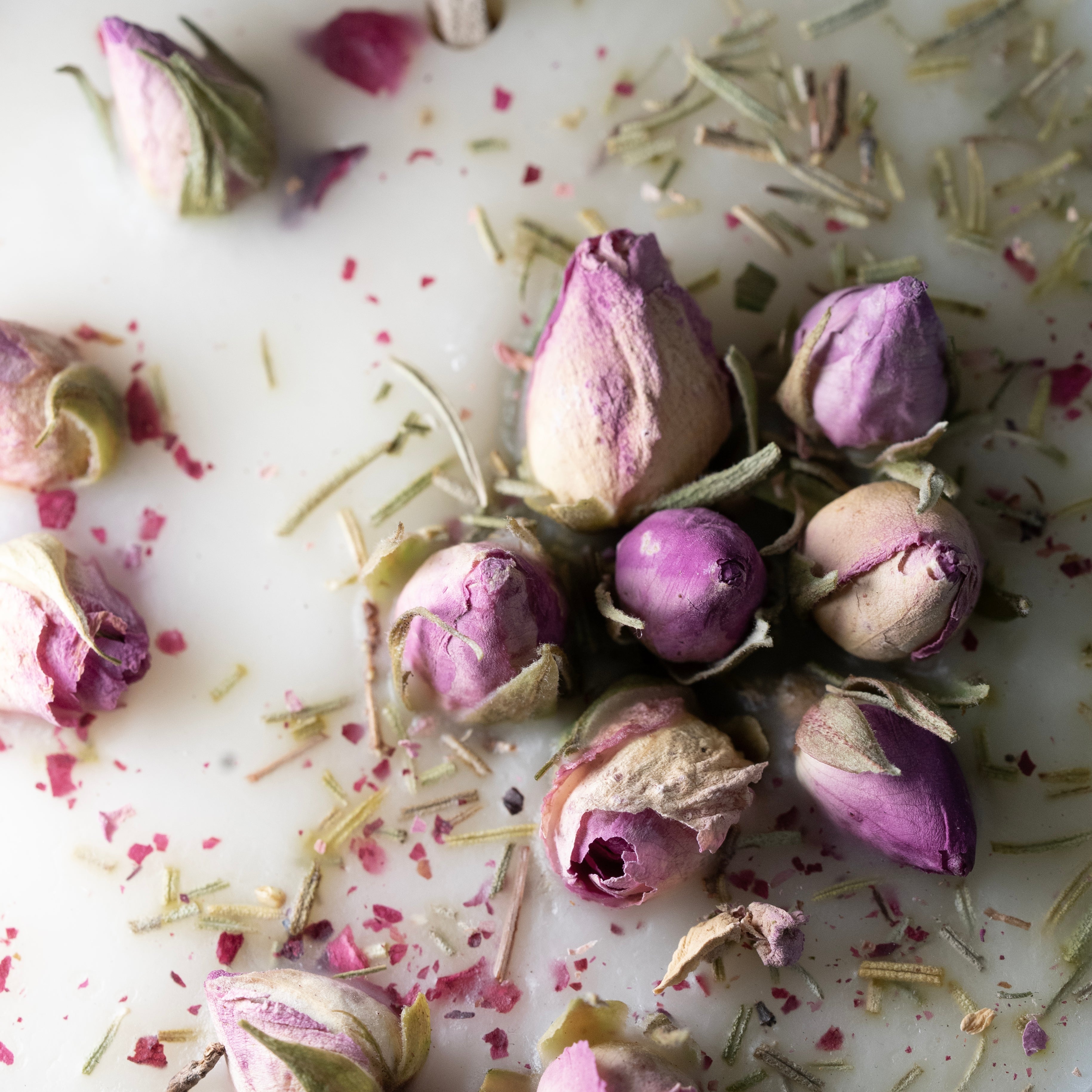 Scented Botanical WAX Object - ROSE
